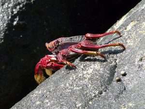 Aktuelles