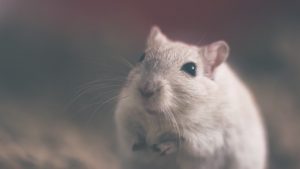 Aktuelles