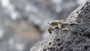 Aktuelles