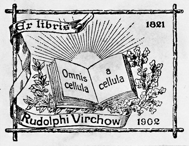 200 Jahre Rudolf Virchow - ein Leben für Wissenschaft und Gesellschaft