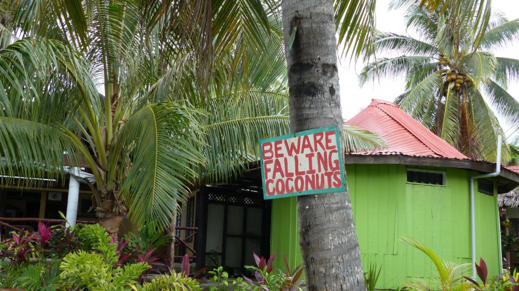 Schild auf Samoa: Achtung vor fallenden Kokosnüssen. Foto: A. Wispler